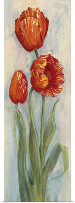 Rembrandt Tulips