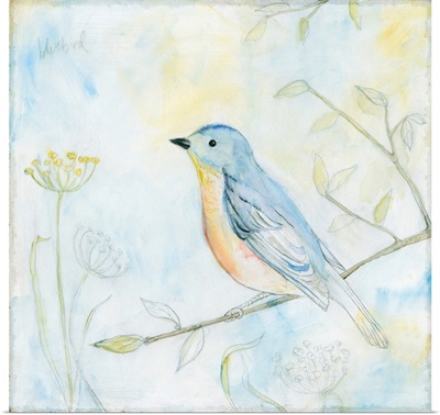 Sketched Songbird II