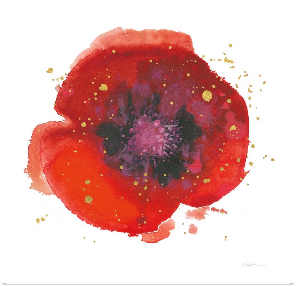 Square watercolor painting of a red poppy flower with a purple and black center and sparkly gold paint splatter on top.