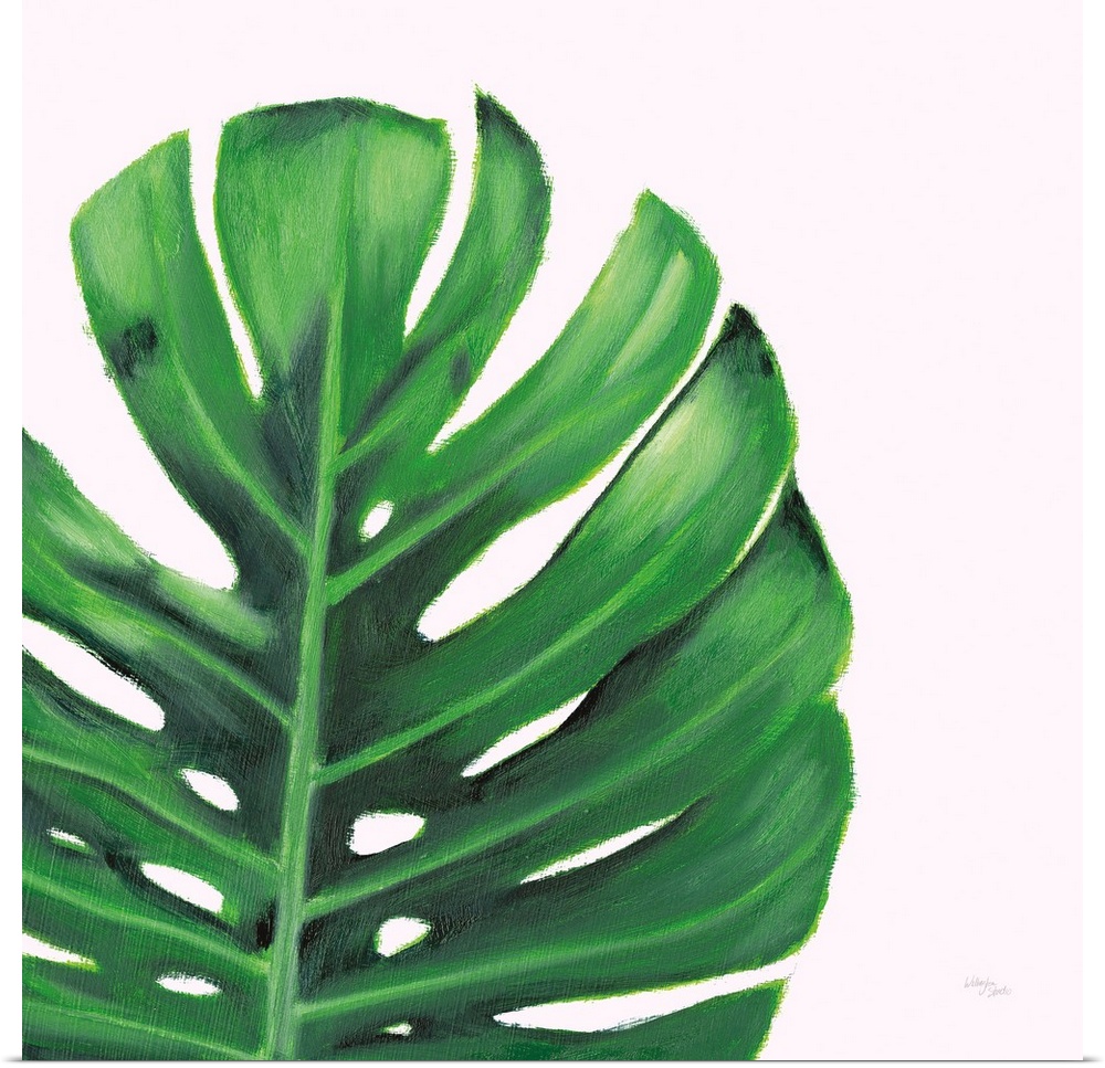 Square contemporary painting of a close up of a palm leaf on white background.