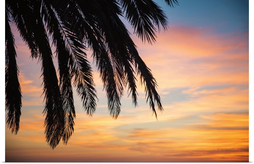 Sunset Palms I