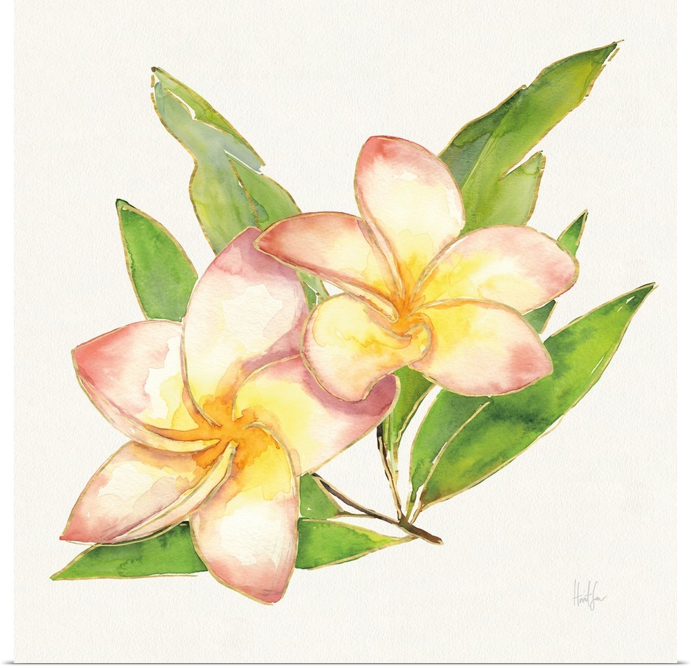 Watercolor painting of two pink plumerias with metallic gold trim.