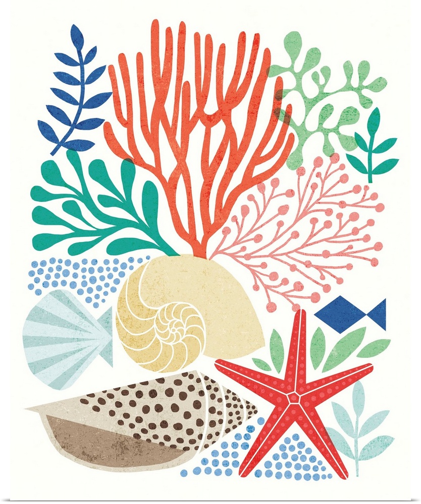 Beach themed illustration with seashells, coral, starfish, and various saltwater plants.
