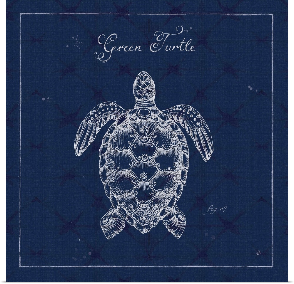 Square illustration of green turtle in a pen and ink style with a blue weaved texture backdrop.