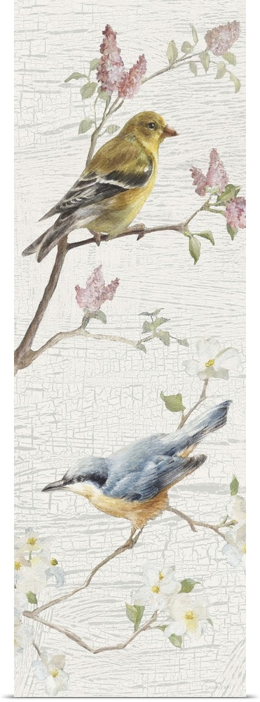 Tall and skinny vertical vintage style illustration with two songbirds perched on branches with a white and gray textured ...