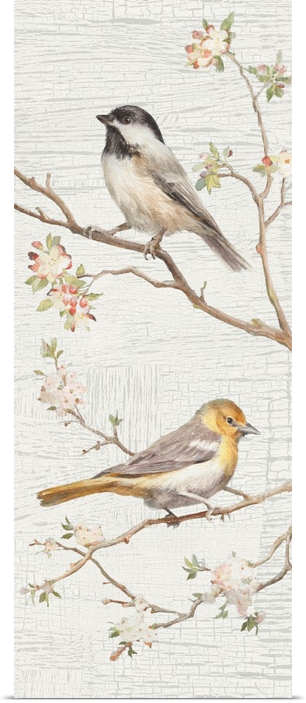 Tall and skinny vertical vintage style illustration with two songbirds perched on branches with a white and gray textured ...