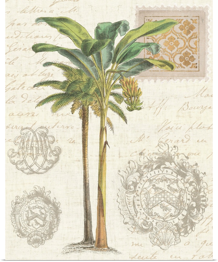 Vintage Palm Study I