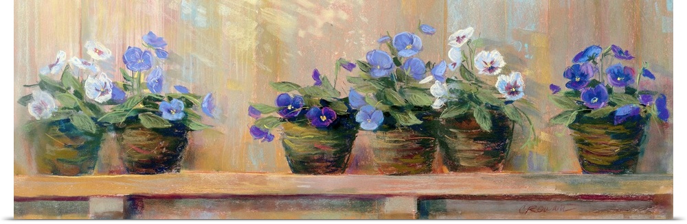 Panoramic floral art shows six potted flowers of varying color as they sit quietly on a shelf.