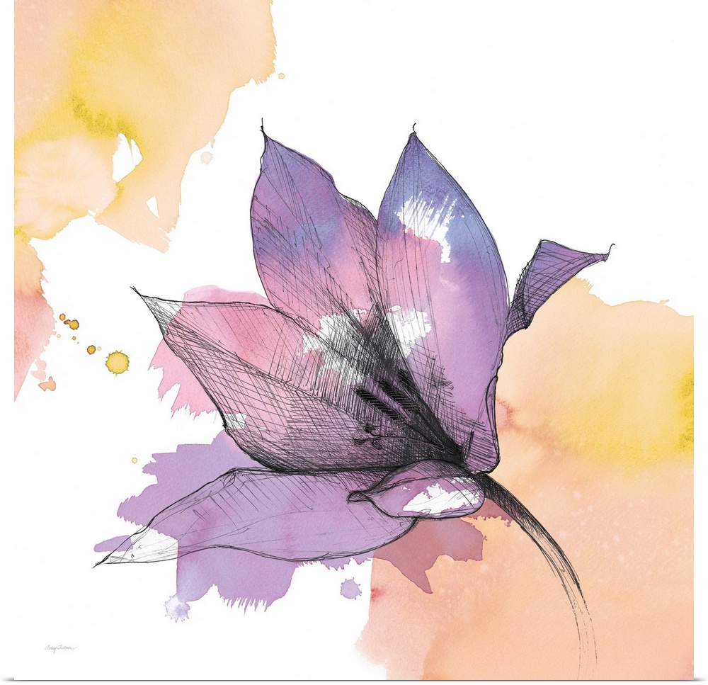 A square watercolor painting of a purple lily with black sketched lines.