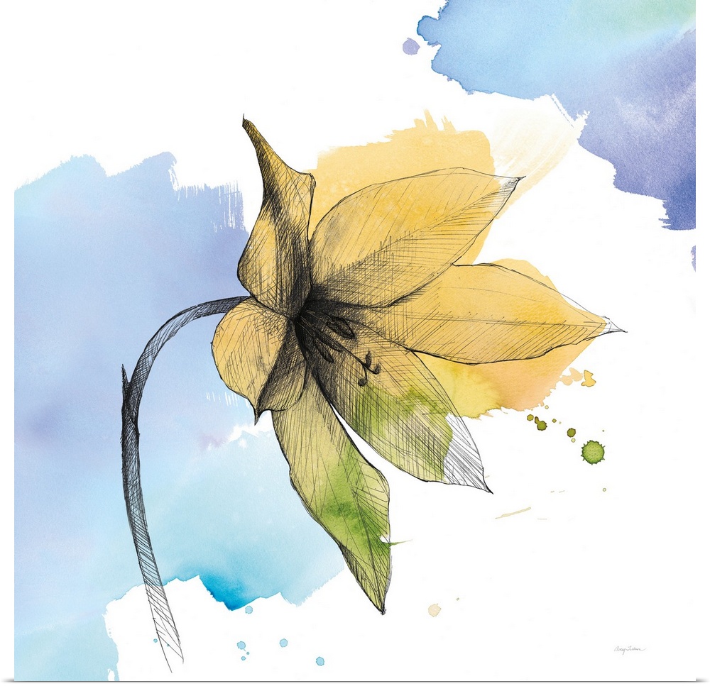 A square watercolor painting of a yellow lily with black sketched lines.