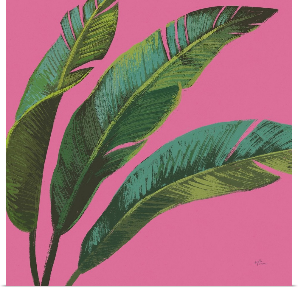 Illustration of palm leaves in shades of green with blue highlights on a bright pink, square background.