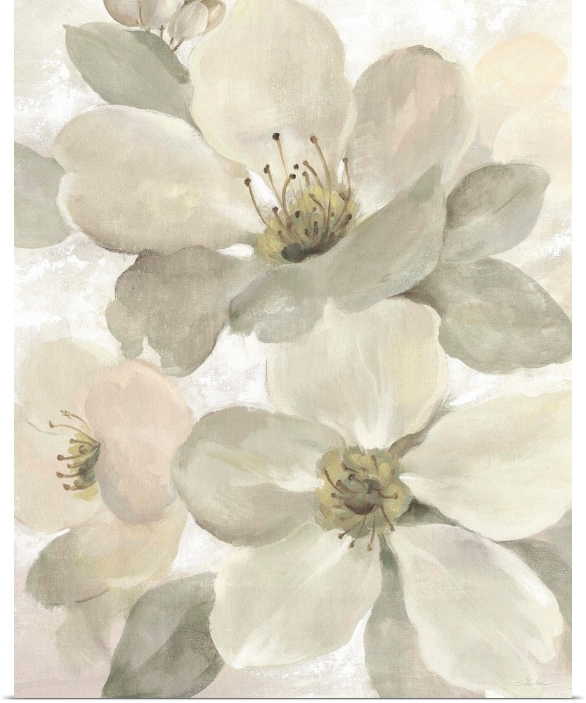 Contemporary painting of neutral toned magnolia flowers.