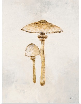 Woodland Mushroom I