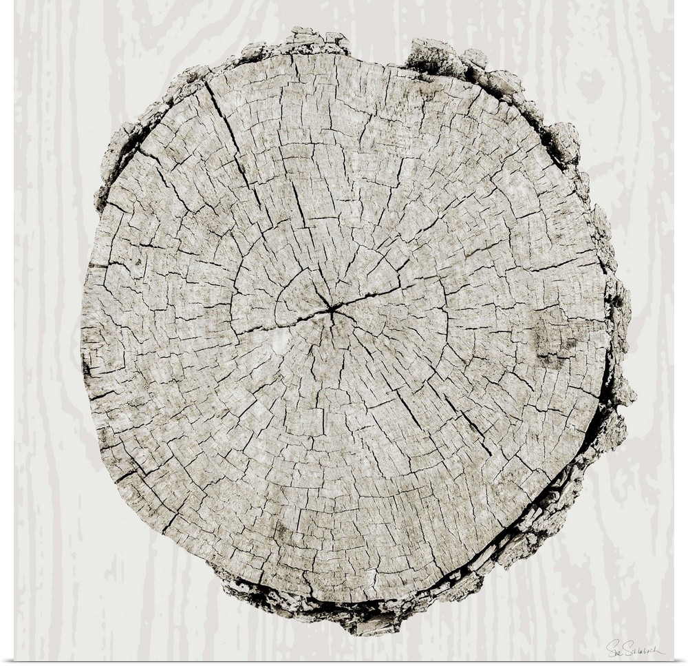 Cross section of a tree in gray against a wood grain patterned background.