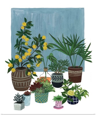 A Portrait of Plants II