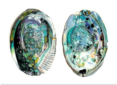 Abalone Shells I