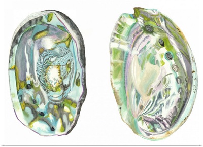 Abalone Shells II
