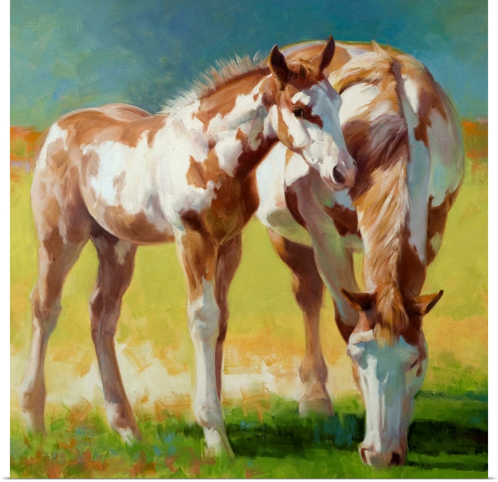 A Paint mare and her foal grazing in a field in soft light.