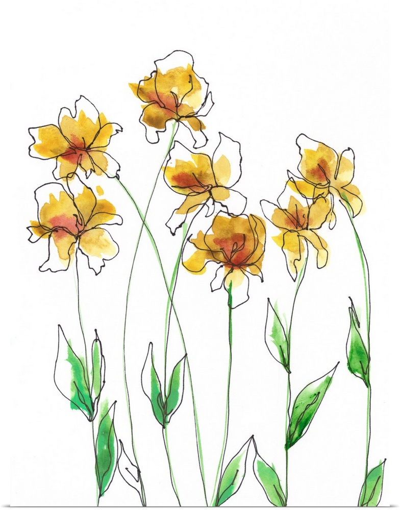 Amber Tulips I