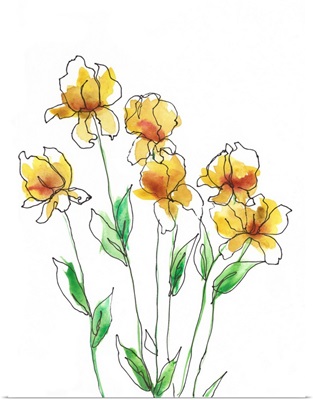 Amber Tulips II