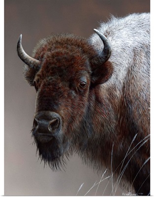 American Icon - Buffalo