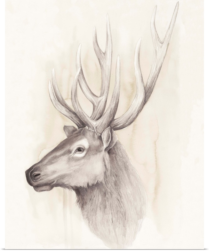 Contemporary illustration of a deer head against a tan background.