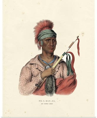 An Ioway Chief