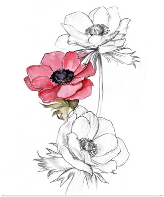 Anemone by Number II