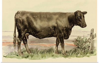 Antique Cow II