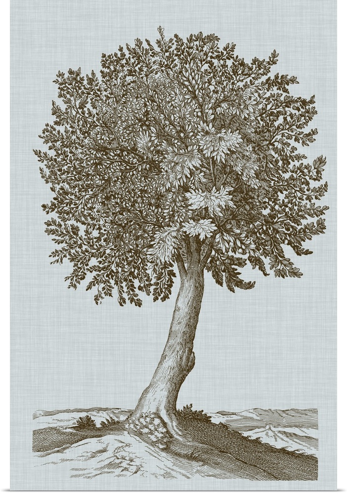 This decorative artwork features an illustrative tree in sepia over a soft blue linen patterned background.