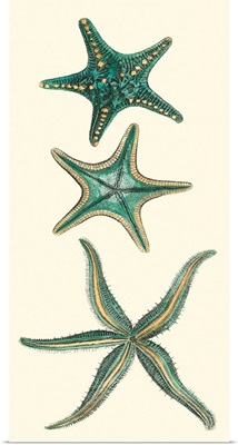 Aquamarine Starfish I