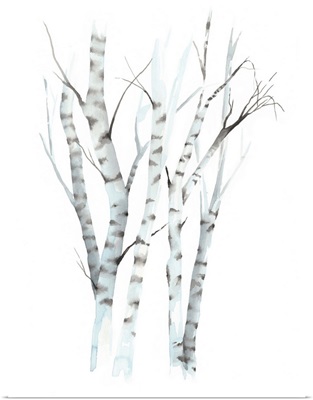 Aquarelle Birches II