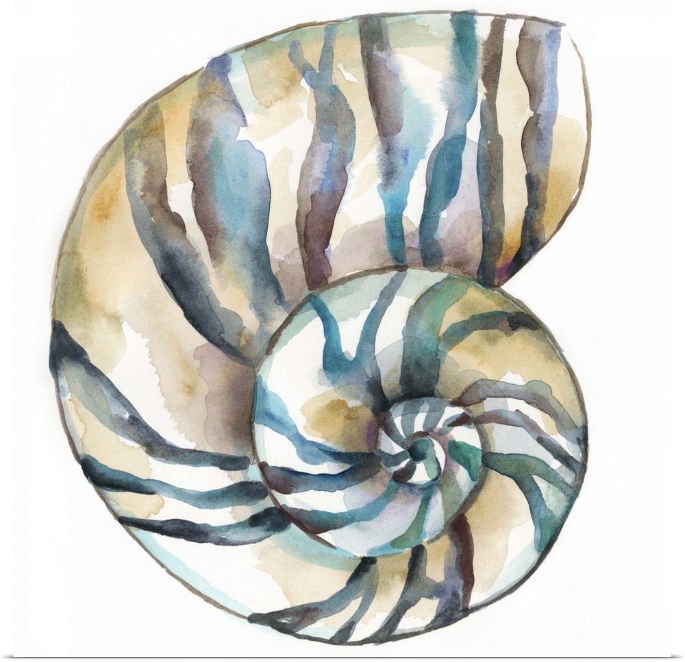 Detailed watercolor painting of a striped spiral seashell.