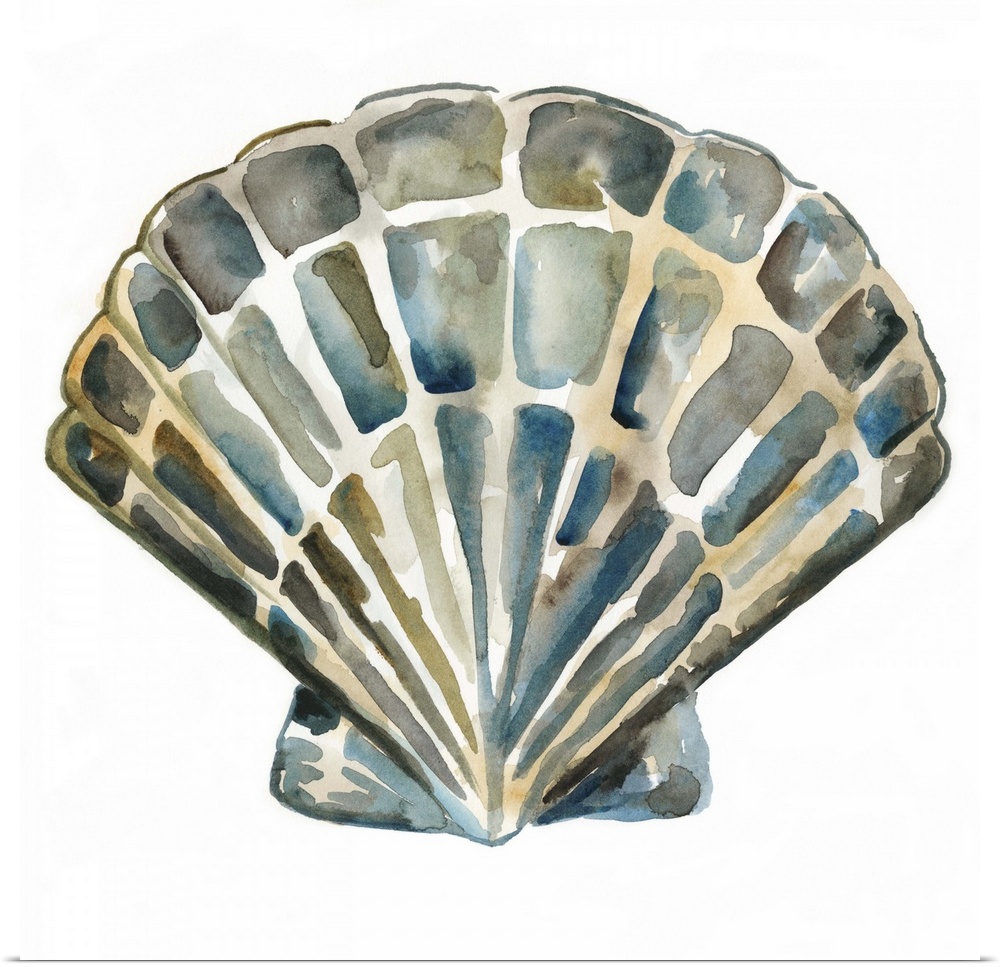 Detailed watercolor painting of a scallop seashell.