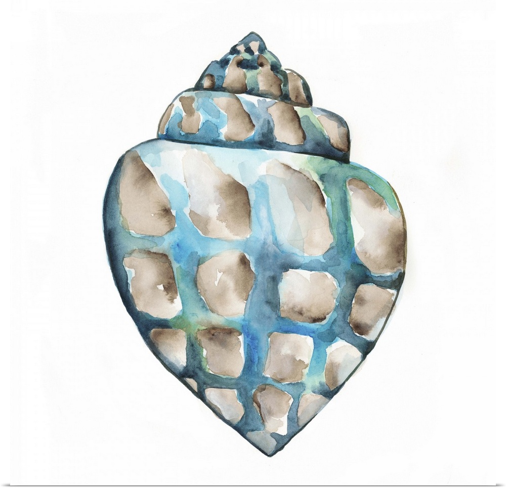 Detailed watercolor painting of a spotted spiral seashell.
