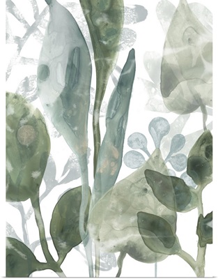 Aquatic Leaves III