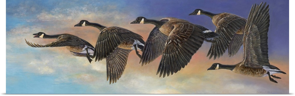 Contemporary painting of geese in mid flight.