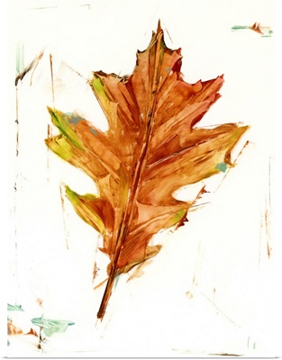 Autumn Leaf Study II