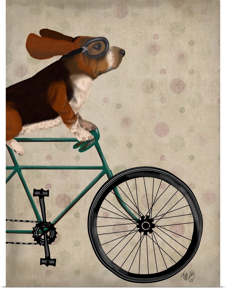 Decorative artwork of a Basset Hound riding on a bicycle wearing goggles, on a light polka dotted background.