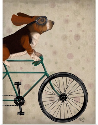 Basset Hound on Bicycle