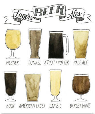 Beer Info Graphic