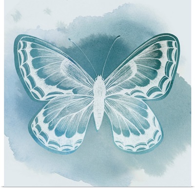 Beryl Butterfly II