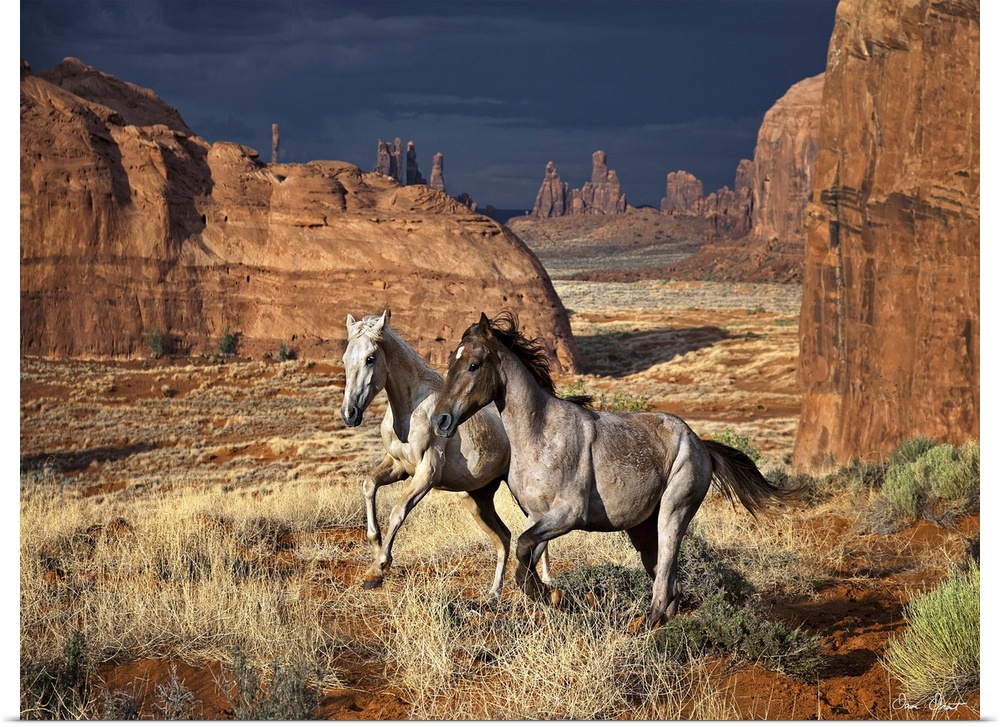 A photograph of wild horses running through a desert landscape.