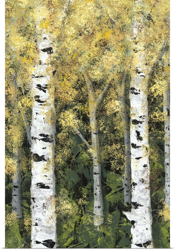 Contemporary painting of a forest of birch trees with golden leaves.