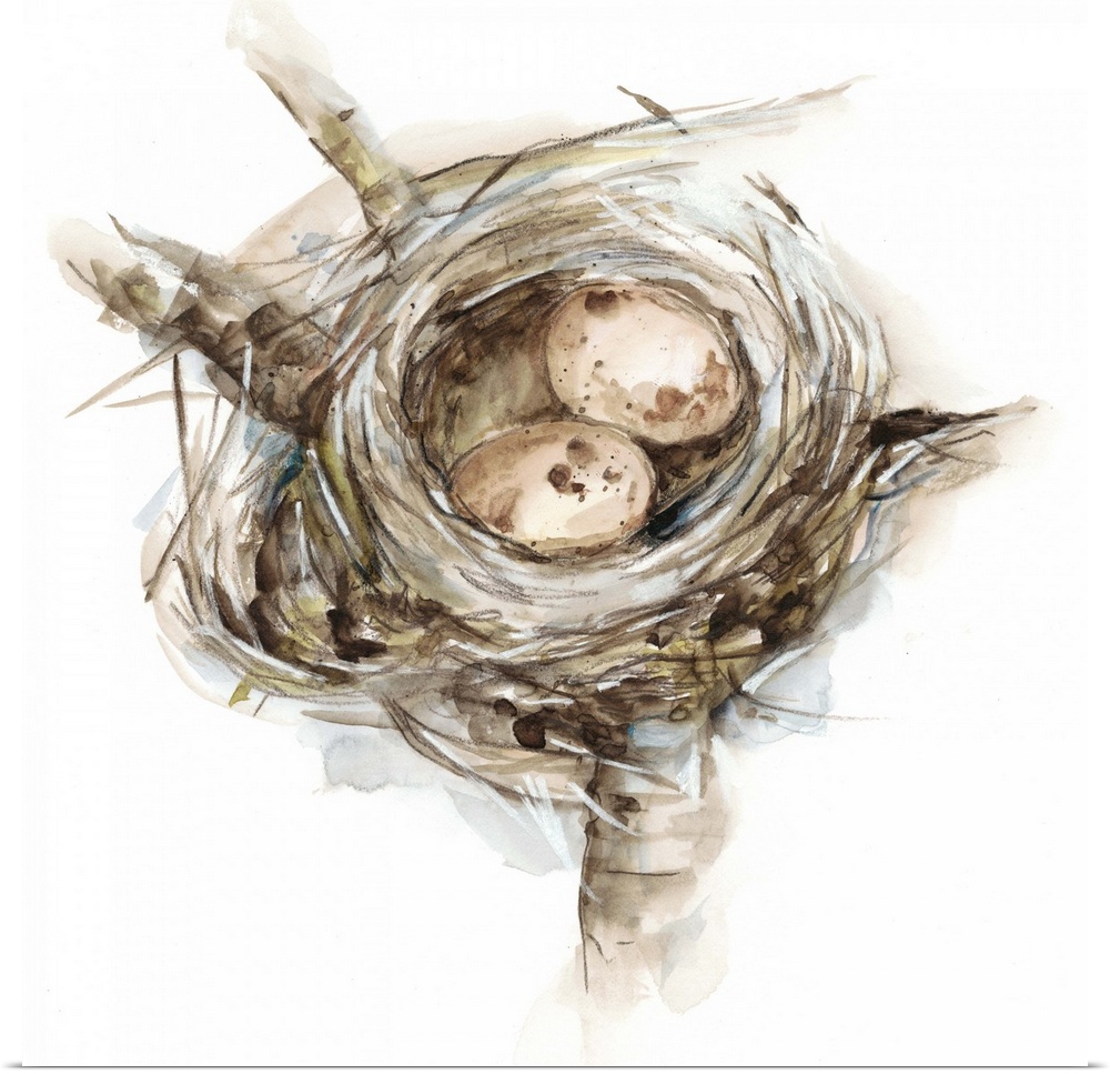 Watercolor painting of a bird's nest with two small pink eggs.