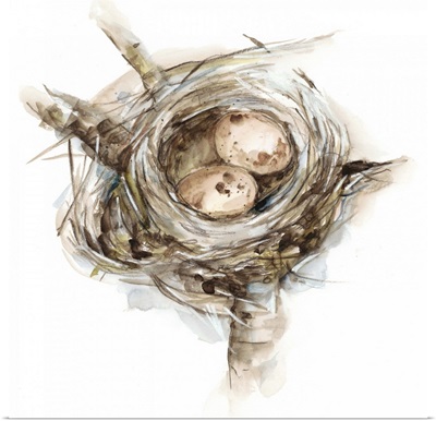 Bird Nest Study I