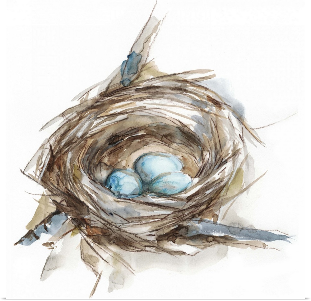 Watercolor painting of a bird's nest with three small blue eggs.