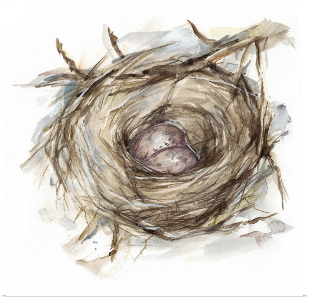 Watercolor painting of a bird's nest with two small brown eggs.