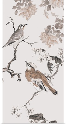Birds Of Asia I
