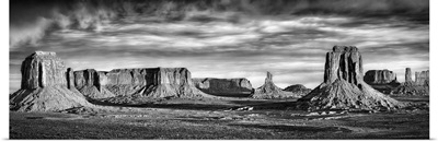 Black and White Desert View VII